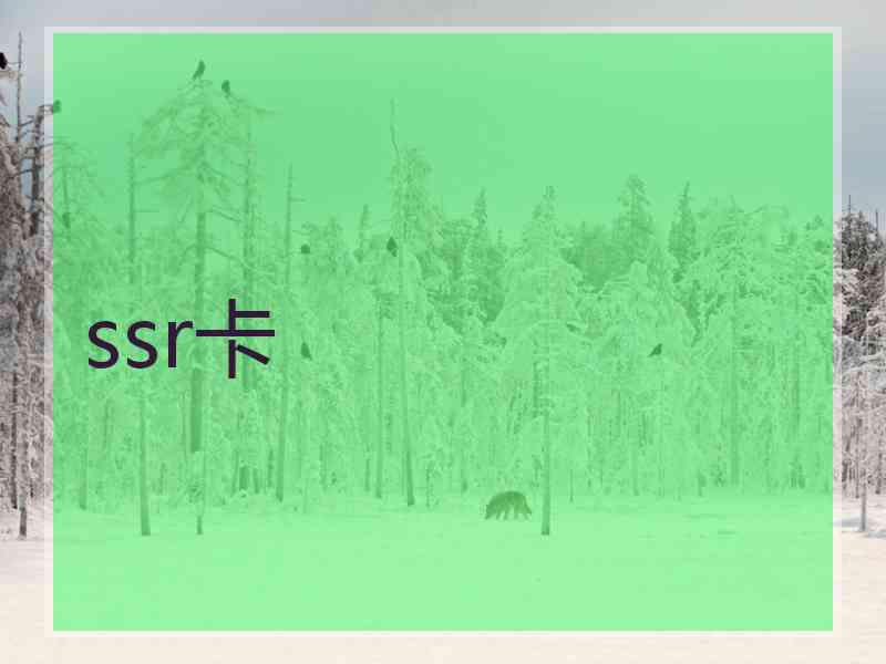 ssr卡