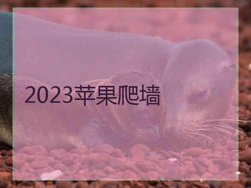 2023苹果爬墙