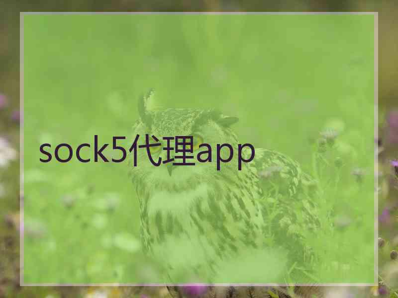 sock5代理app
