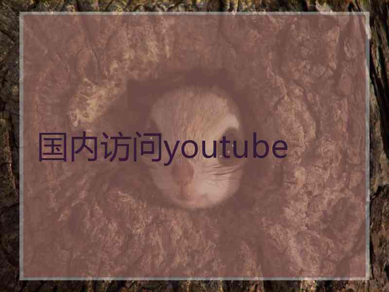 国内访问youtube